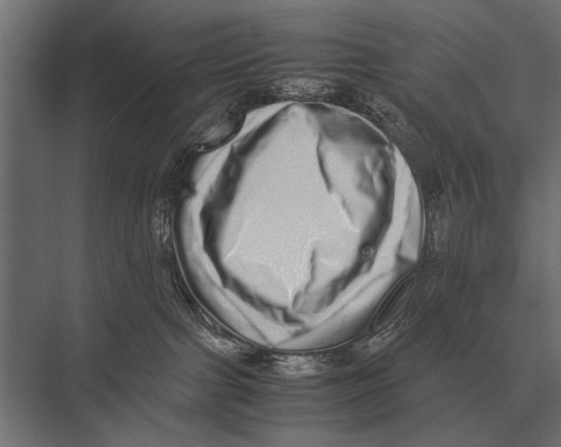 X0000075330091200610061639