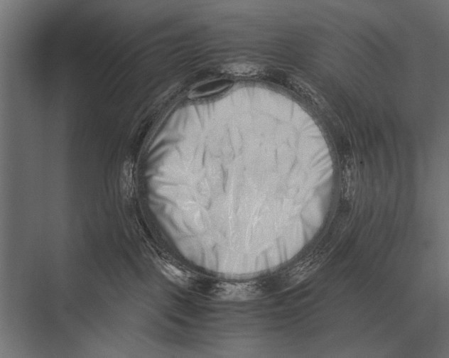 X0000075330093200610061639