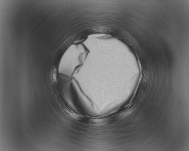 X0000075330095200610061639