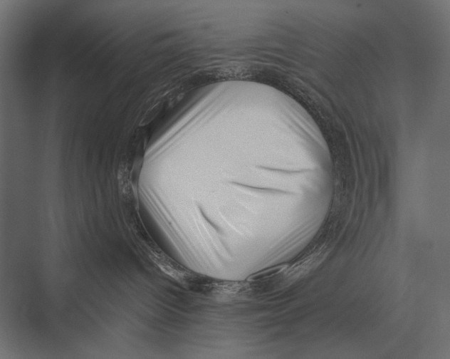 X0000075330096200610061639