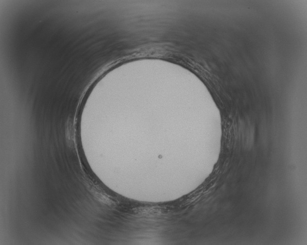 X0000075330100200610061638