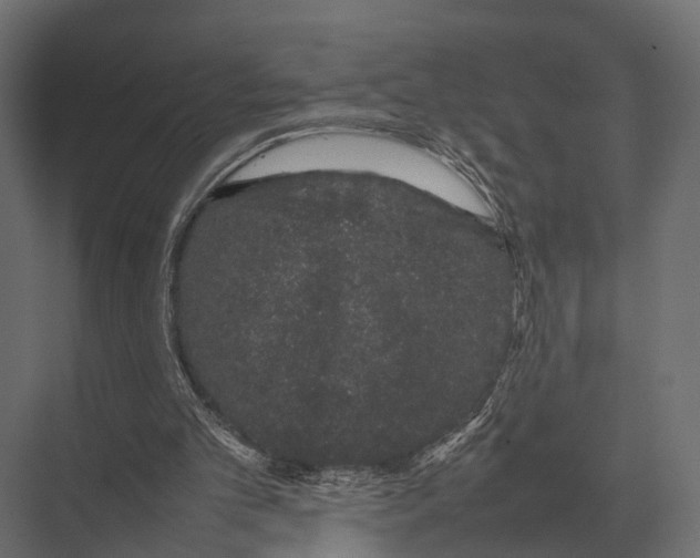 X0000075330101200610061638