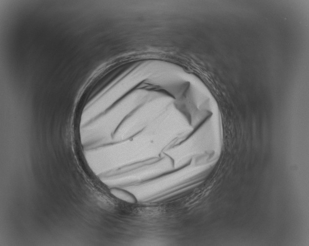 X0000075330102200610061638