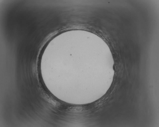 X0000075330104200610061638