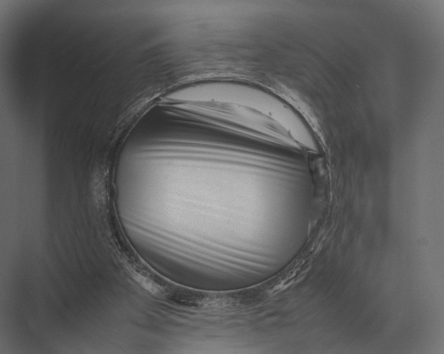 X0000075330105200610061638