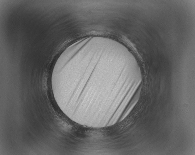 X0000075330106200610061638