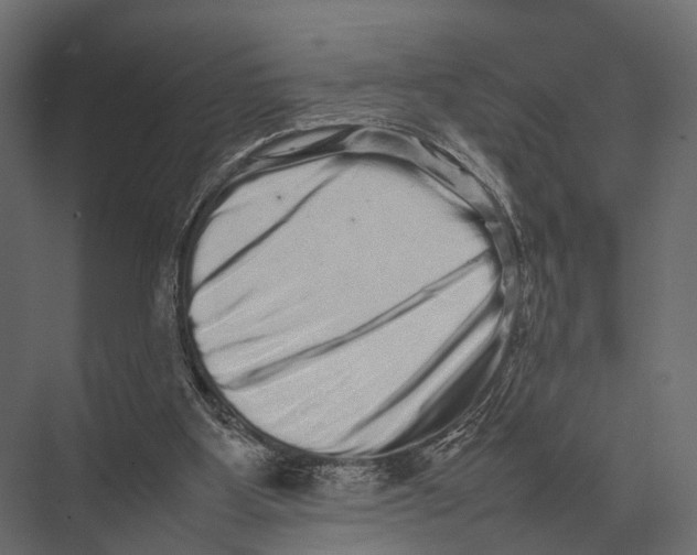 X0000075330107200610061638