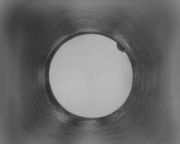 X0000075330108200610061638