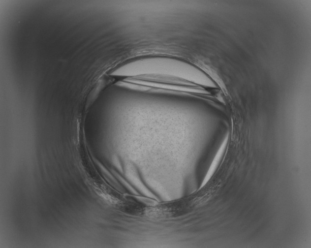 X0000075330109200610061638