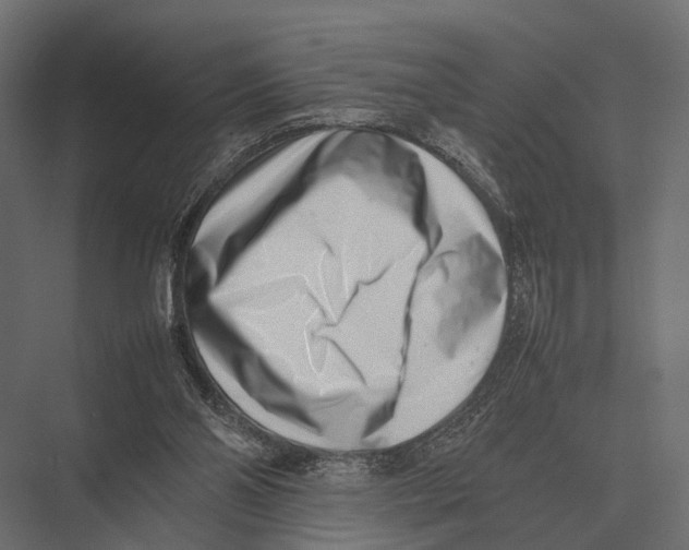 X0000075330110200610061638