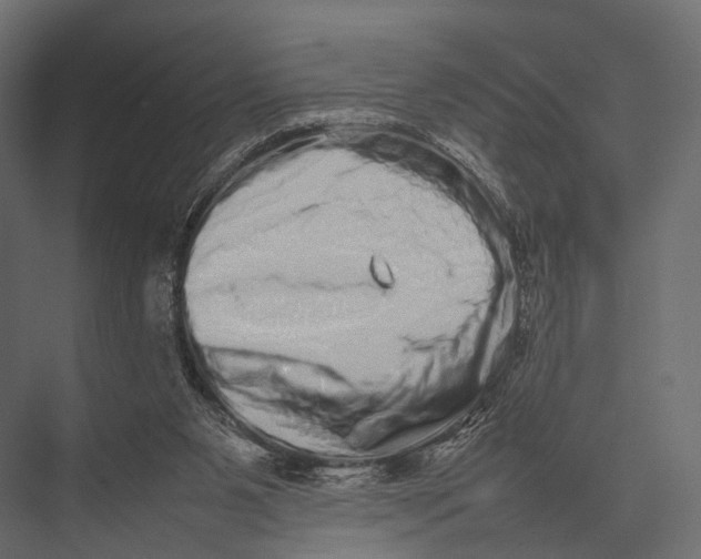 X0000075330111200610061638