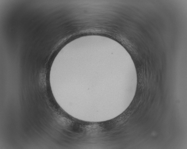 X0000075330112200610061638