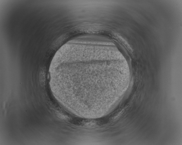 X0000075330113200610061638