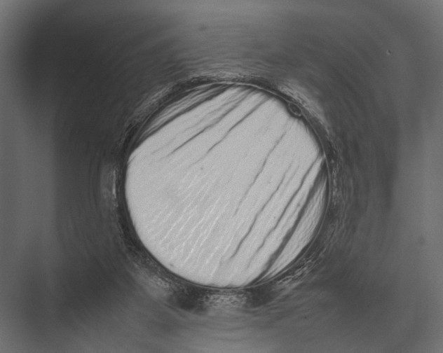 X0000075330115200610061638