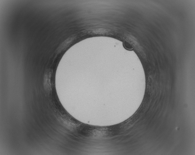 X0000075330116200610061638