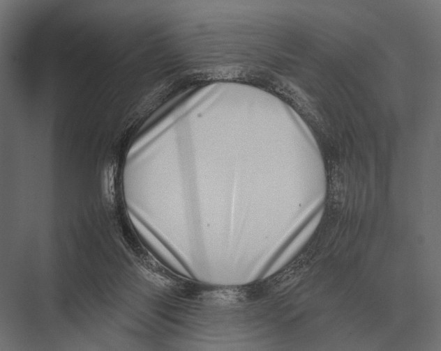 X0000075330118200610061638