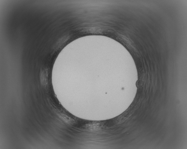 X0000075330120200610061638