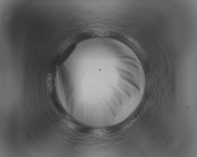 X0000075330121200610061638