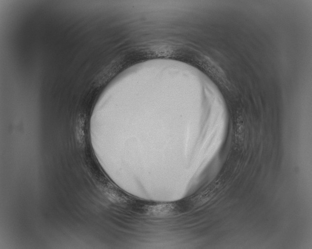 X0000075330122200610061638