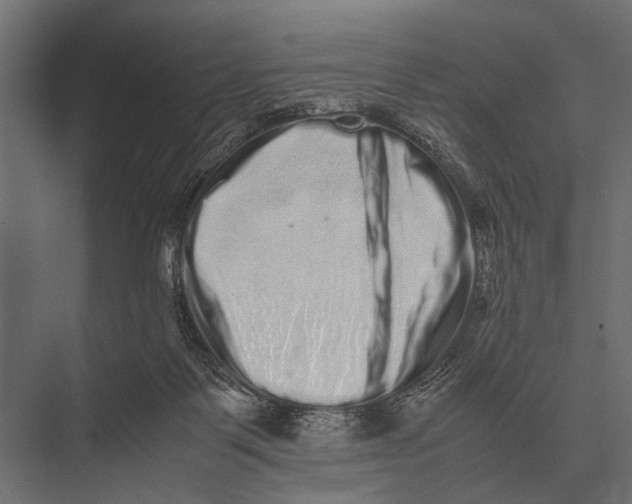 X0000075330123200610061638