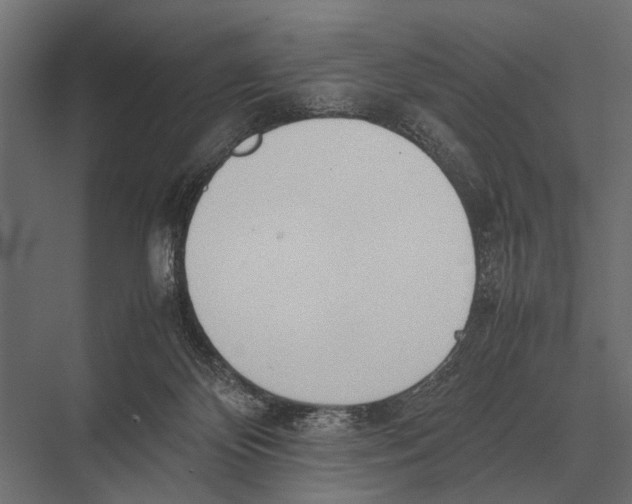 X0000075330124200610061638