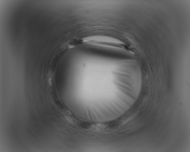 X0000075330125200610061638