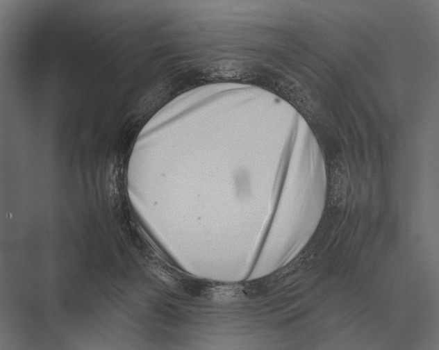 X0000075330126200610061638