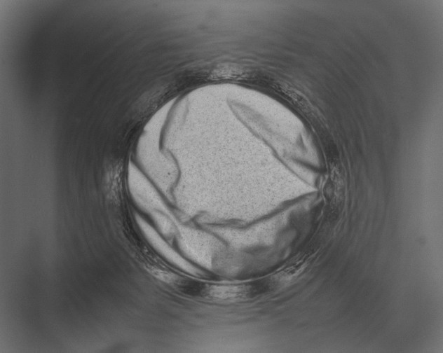 X0000075330127200610061638