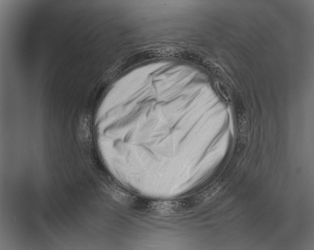 X0000075330131200610061638