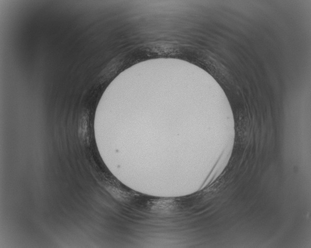 X0000075330132200610061638