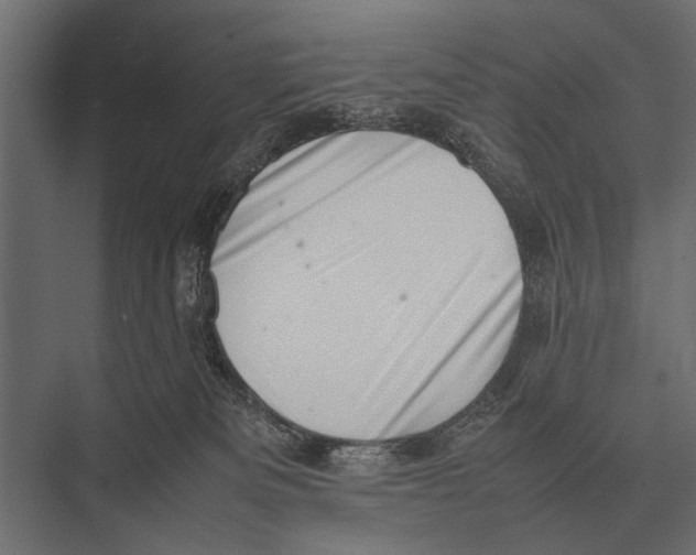 X0000075330133200610061638