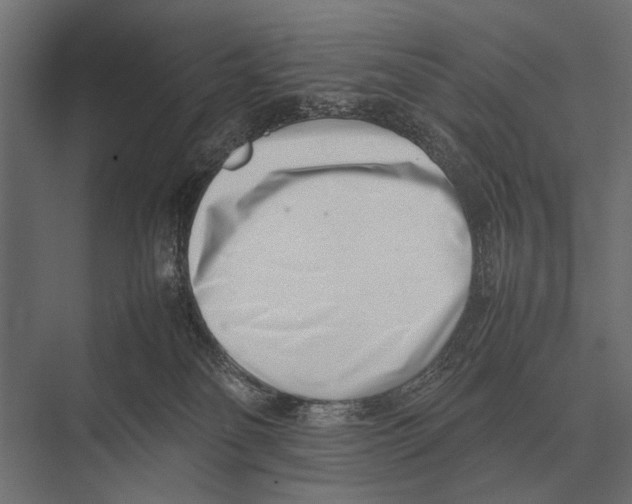 X0000075330134200610061638