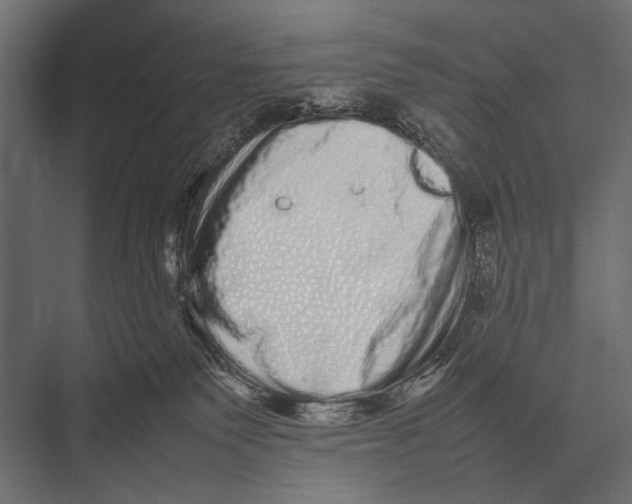 X0000075330135200610061638