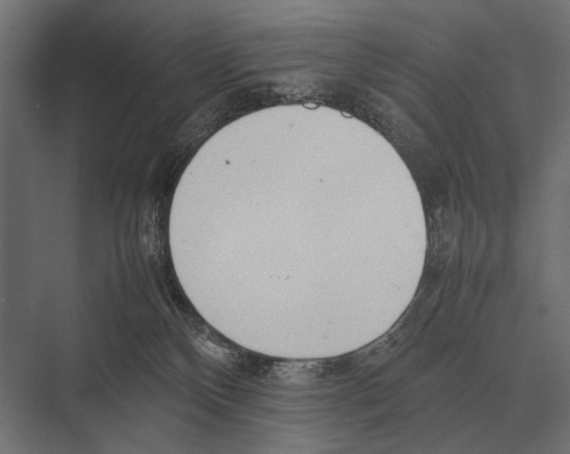 X0000075330136200610061638