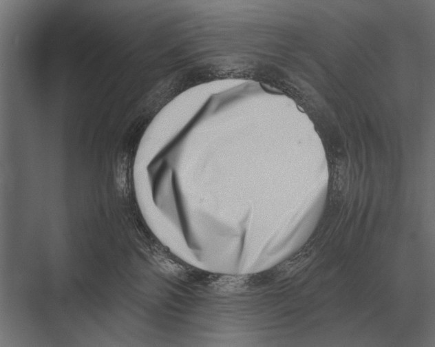 X0000075330138200610061638