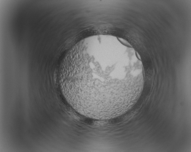 X0000075330139200610061638