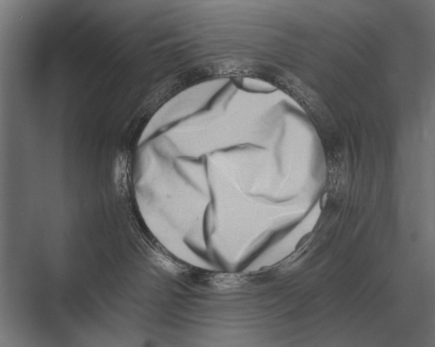 X0000075330142200610061638