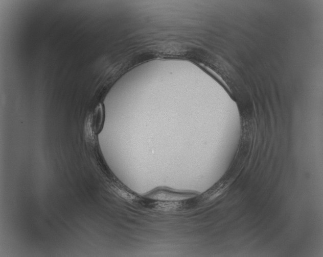 X0000075330143200610061638