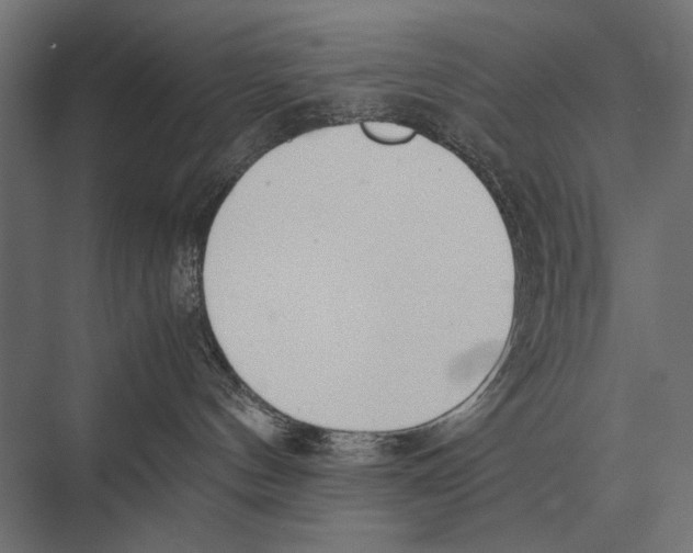 X0000075330144200610061638