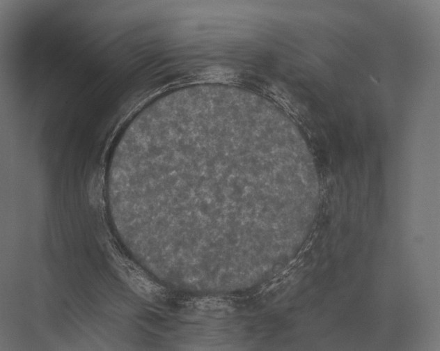 X0000075330146200610061637