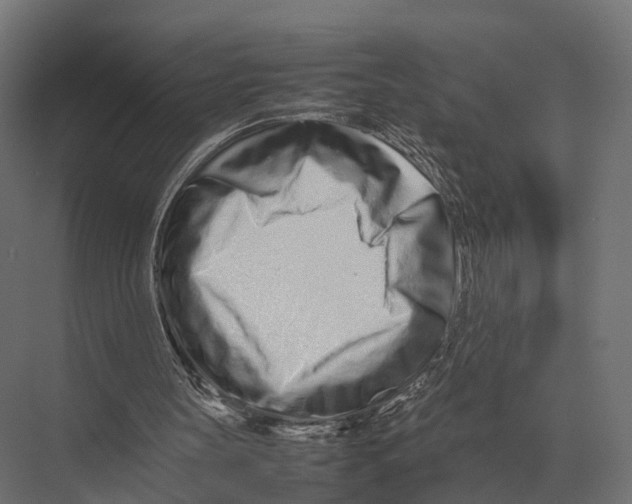 X0000075330147200610061637