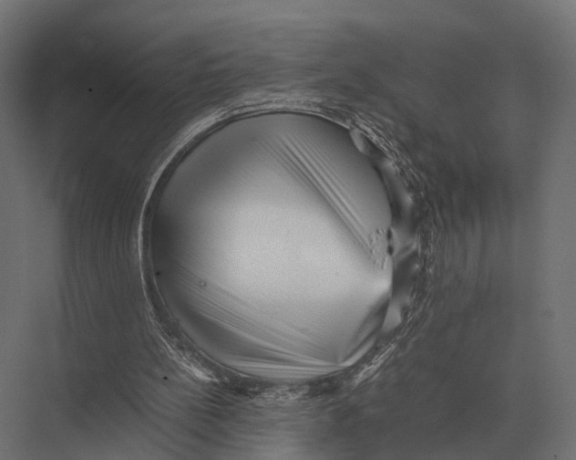 X0000075330148200610061637