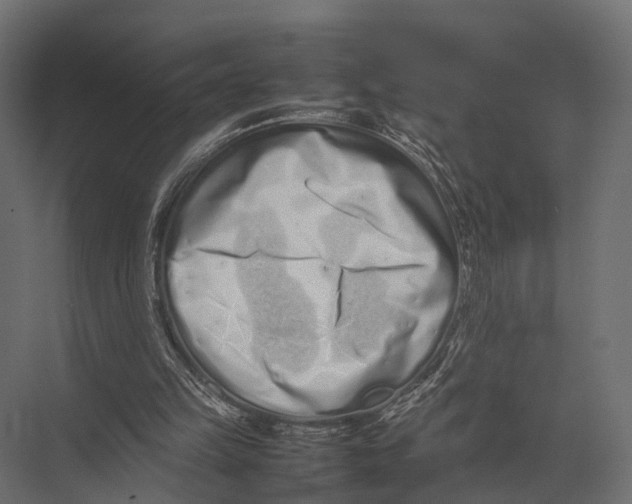 X0000075330149200610061637