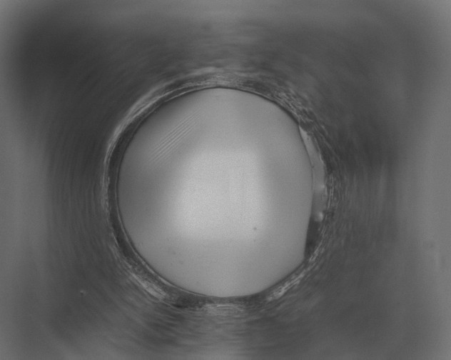 X0000075330150200610061637