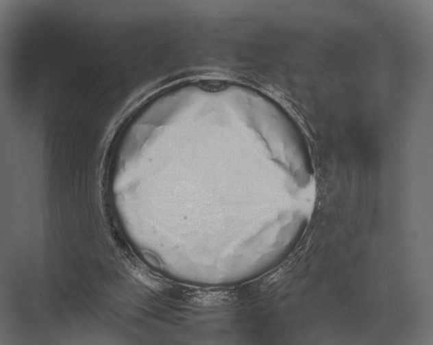 X0000075330151200610061637