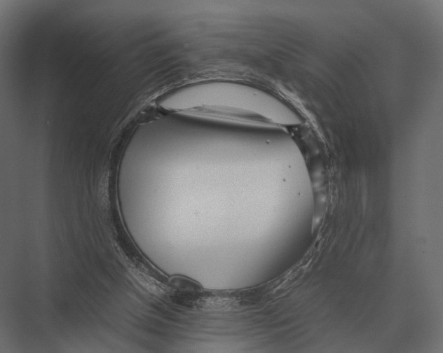 X0000075330154200610061637