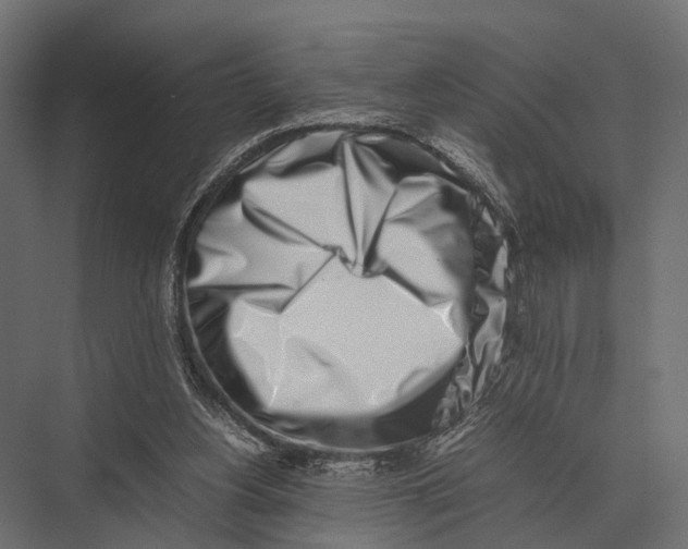 X0000075330156200610061637