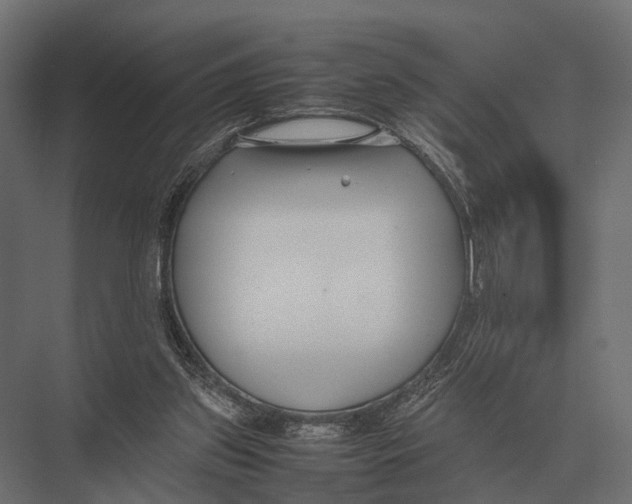 X0000075330157200610061637