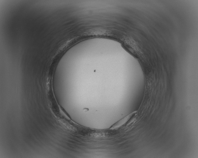 X0000075330160200610061637