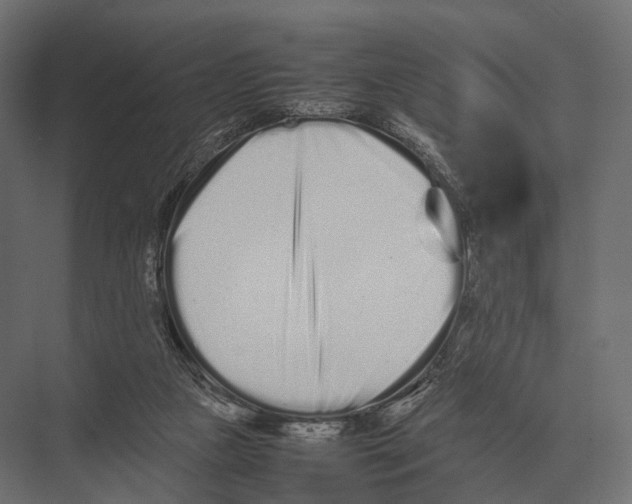 X0000075330161200610061637